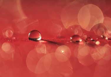 Gouttes d’eau perlant sur un film hydrophobe